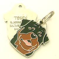 pet tag engraved 2014020501.jpg Адресники, жетоны, медальоны для собак и кошек, жетоны для собаки, Собака ID теги MjavHov - Гравировка Собака ID теги - теги, гравировать